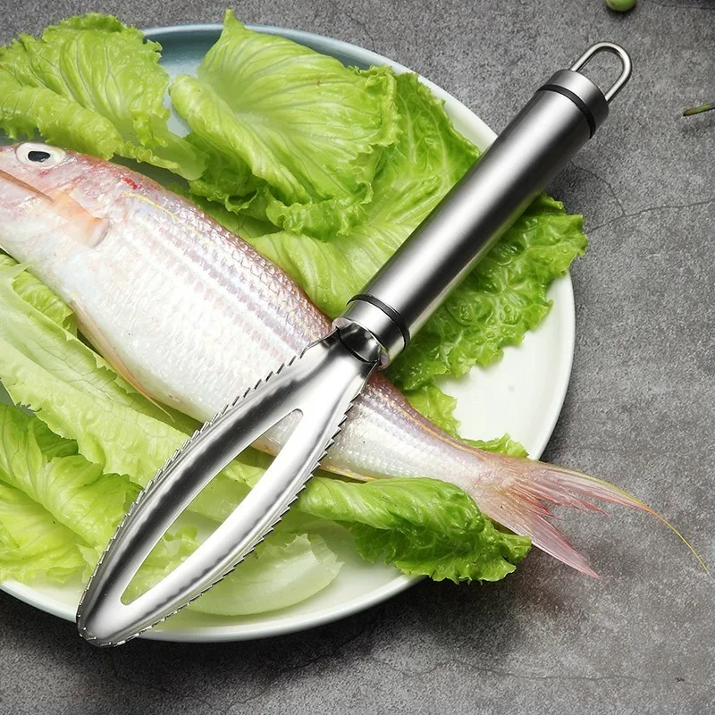 Râpe à gratter écailles de poisson en acier inoxydable 3