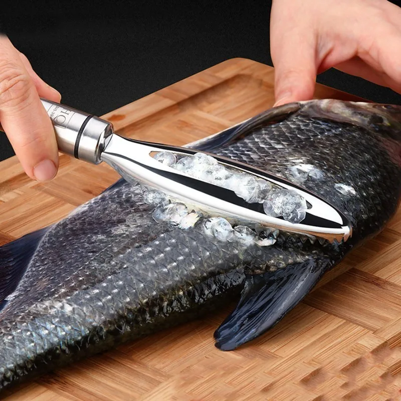Râpe à gratter écailles de poisson en acier inoxydable 1